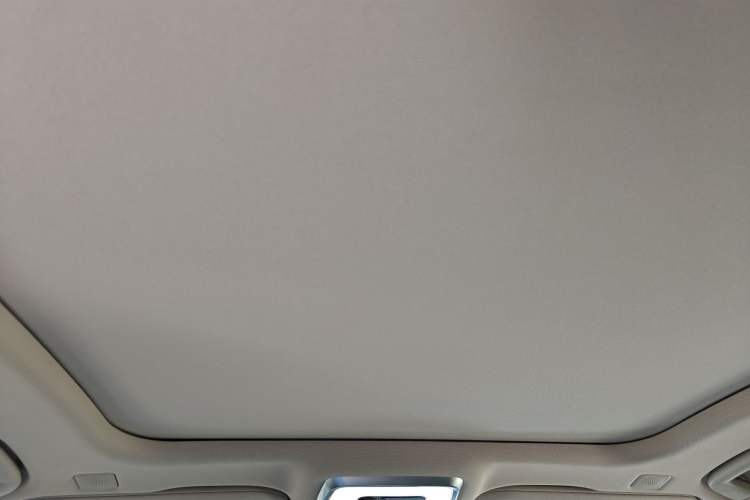 Used Hongqi H9 2023 2.0T Smart Connect Flagship Edition Headliner
