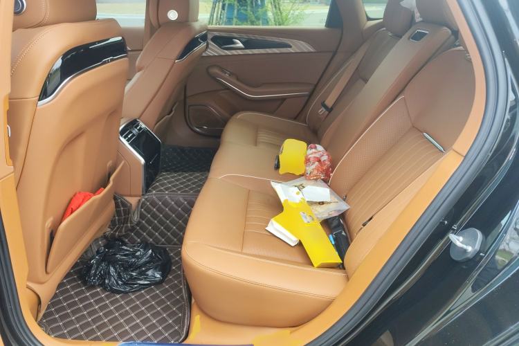 Used Hongqi H9 2023 2.0T Smart Connect Flagship Edition Left Rear Seat