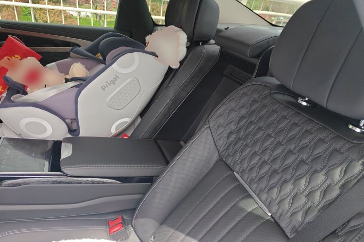 Used Hongqi H9 2023 2.0T Smart Connect Flagship Edition Left Rear Seat
