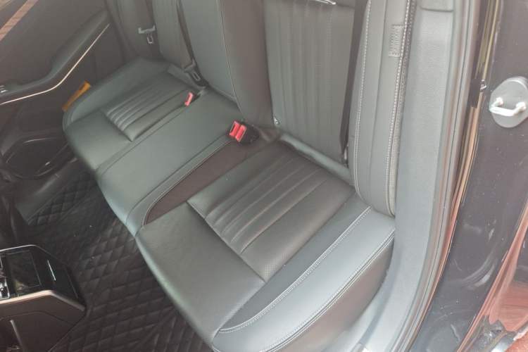 Used Hongqi H9 2023 2.0T Smart Connect Flagship Edition Left Rear Seat