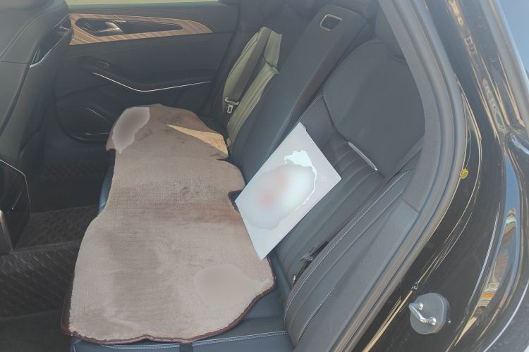 Used Hongqi H9 2023 2.0T Smart Connect Flagship Edition Left Rear Seat