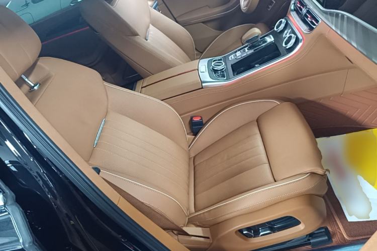 Used Hongqi H9 2023 2.0T Smart Connect Flagship Edition Right Front Seat