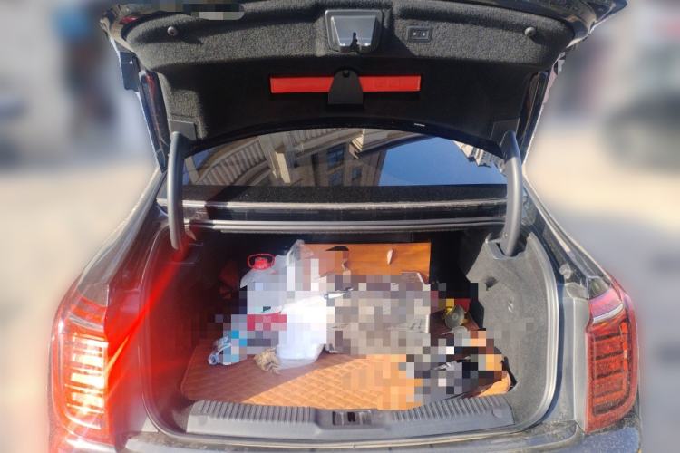 Used Hongqi H9 2023 2.0T Smart Connect Flagship Edition Trunk