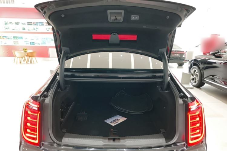 Used Hongqi H9 2023 2.0T Smart Connect Flagship Edition Trunk
