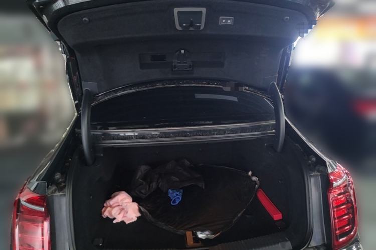Used Hongqi H9 2023 2.0T Smart Connect Flagship Edition Trunk