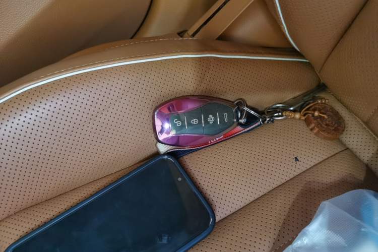Used Hongqi H9 2023 2.0T Smart Connect Flagship Edition Vehicle Key