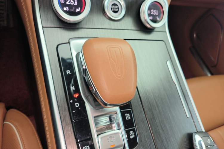 Used Hongqi H9 2023 2.0T Smart Connect Flagship Edition Gear Lever