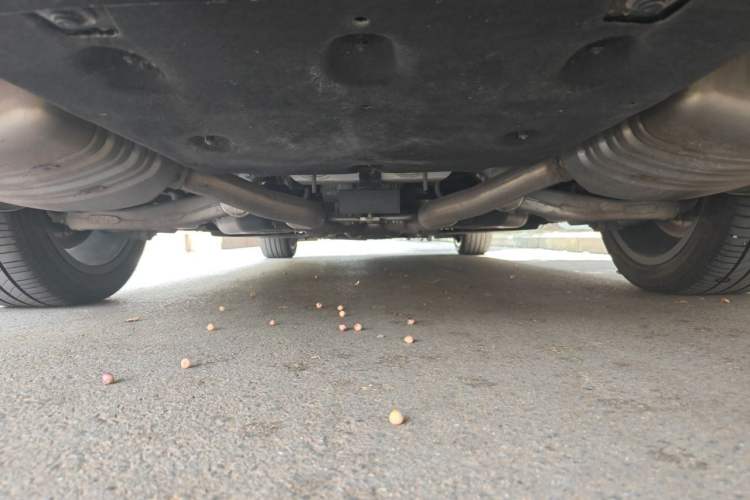 Used Hongqi H9 2023 2.0T Smart Connect Flagship Edition Chassis Rear