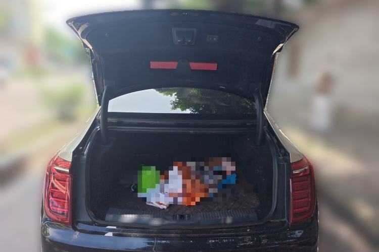Used Hongqi H9 2023 2.0T Smart Connect Flagship Edition Trunk