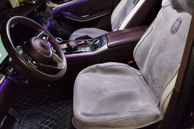 Used Hongqi H9 2023 2.0T Smart Connect Flagship Edition Left Front Seat