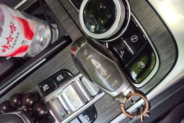 Used Hongqi H9 2023 2.0T Smart Connect Flagship Edition Vehicle Key