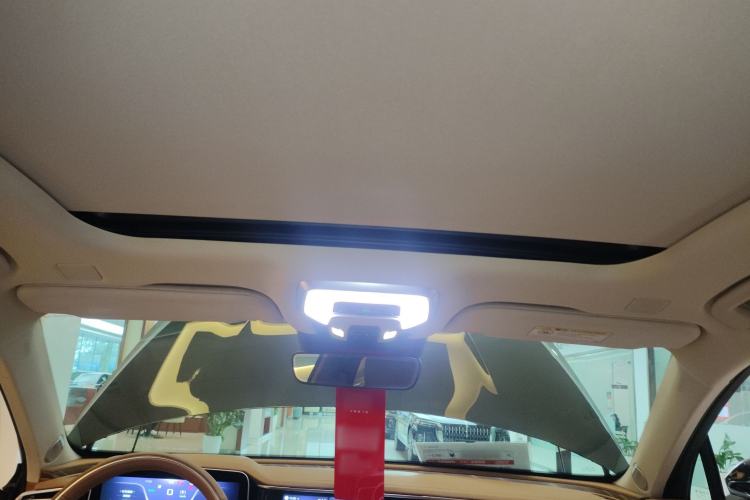 Used Hongqi H9 2023 2.0T Smart Connect Flagship Edition Headliner