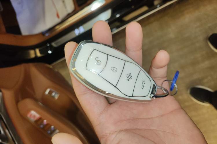 Used Hongqi H9 2023 2.0T Smart Connect Flagship Edition Interior 1