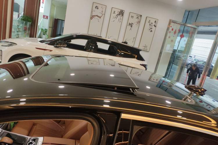Used Hongqi H9 2023 2.0T Smart Connect Flagship Edition Roof