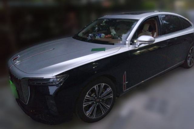 Used Hongqi H9 2024 2.0T Qixiang Private Style Edition
