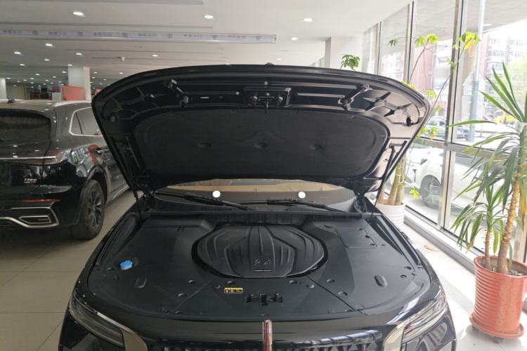 Used Hongqi H9 2024 2.0T Qichang Private Enjoyment Luxury Edition Engine Bay