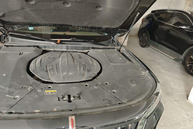 Used Hongqi H9 2024 2.0T Qixiang Private Style Edition Engine Bay Left