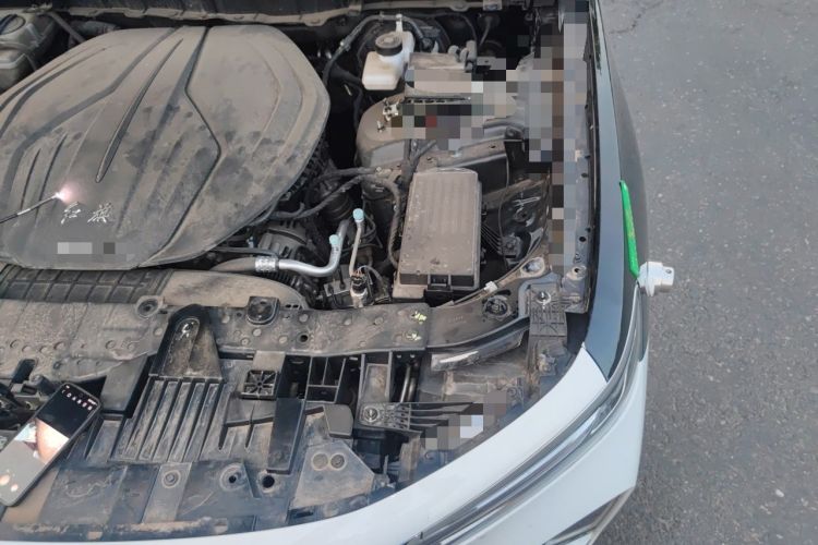 Used Hongqi H9 2024 2.0T Qixiang Luxury Business Edition Engine Bay Left