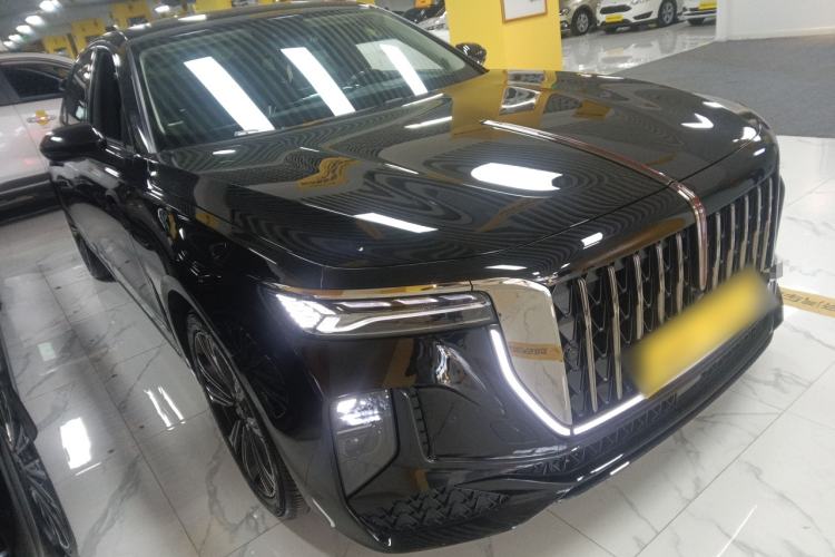 Used Hongqi H9 2024 2.0T Qichang Private Enjoyment Luxury Edition Exterior 2