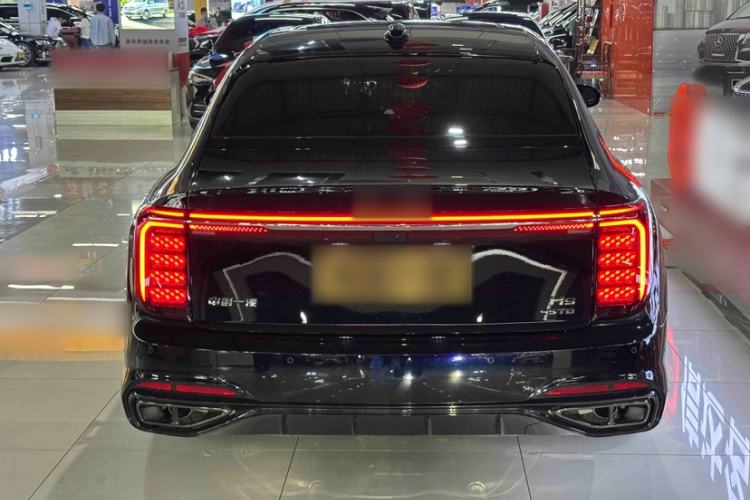 Used Hongqi H9 2024 2.0T Qichang Private Enjoyment Luxury Edition Exterior 2