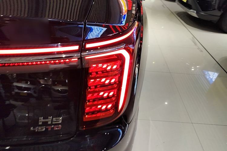 Used Hongqi H9 2024 2.0T Qixiang Private Style Edition Exterior 3