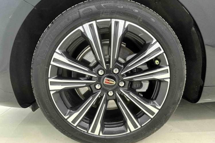 Used Hongqi H9 2024 2.0T Qixiang Private Style Edition Exterior 5