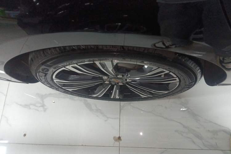Used Hongqi H9 2024 2.0T Qichang Private Enjoyment Luxury Edition Exterior 8