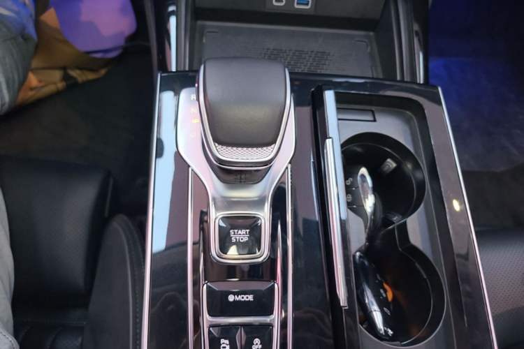 Used Hongqi H9 2024 2.0T Qichang Private Enjoyment Luxury Edition Gear Lever