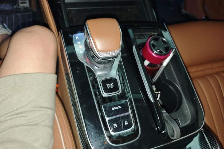 Used Hongqi H9 2024 2.0T Qixiang Private Style Edition Gear Lever