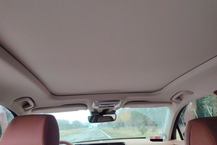 Used Hongqi H9 2024 2.0T Qixiang Private Style Edition Headliner