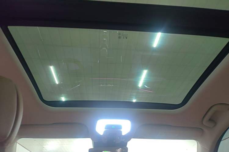 Used Hongqi H9 2024 2.0T Qixiang Private Style Edition Headliner