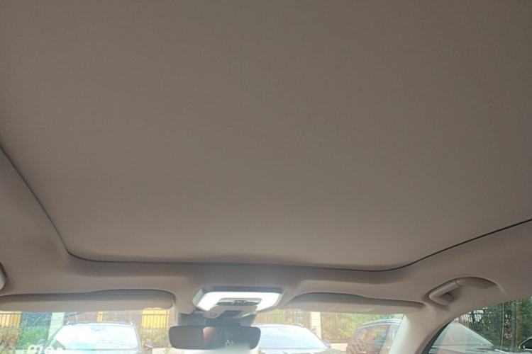 Used Hongqi H9 2024 2.0T Qixiang Luxury Business Edition Headliner