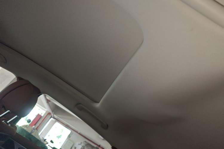 Used Hongqi H9 2024 2.0T Qixiang Private Style Edition Headliner