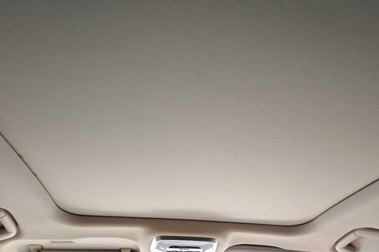 Used Hongqi H9 2024 2.0T Qixiang Private Style Edition Headliner
