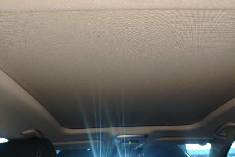 Used Hongqi H9 2024 2.0T Qichang Private Enjoyment Luxury Edition Headliner