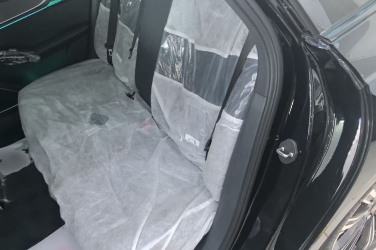 Used Hongqi H9 2024 2.0T Qichang Private Enjoyment Luxury Edition Left Rear Seat