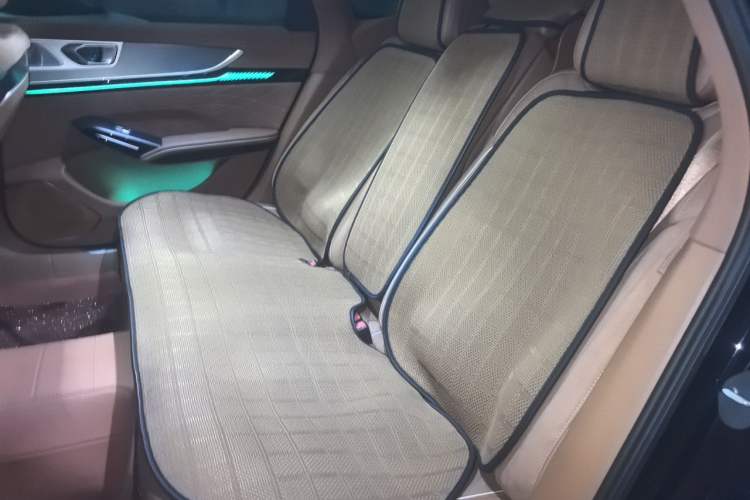 Used Hongqi H9 2024 2.0T Qixiang Private Style Edition Left Rear Seat