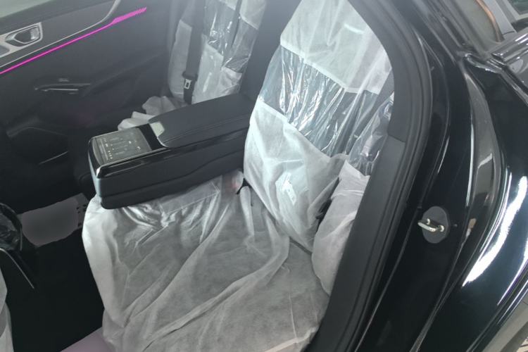 Used Hongqi H9 2024 2.0T Qichang Private Enjoyment Luxury Edition Left Rear Seat