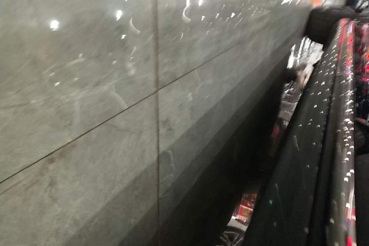 Used Hongqi H9 2024 2.0T Qixiang Private Style Edition Left Side Sill