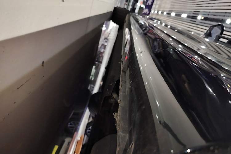 Used Hongqi H9 2024 2.0T Qixiang Private Style Edition Left Side Sill