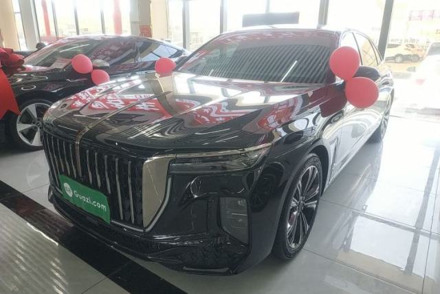 Used Hongqi H9 2024 2.0T Qixiang Private Style Edition