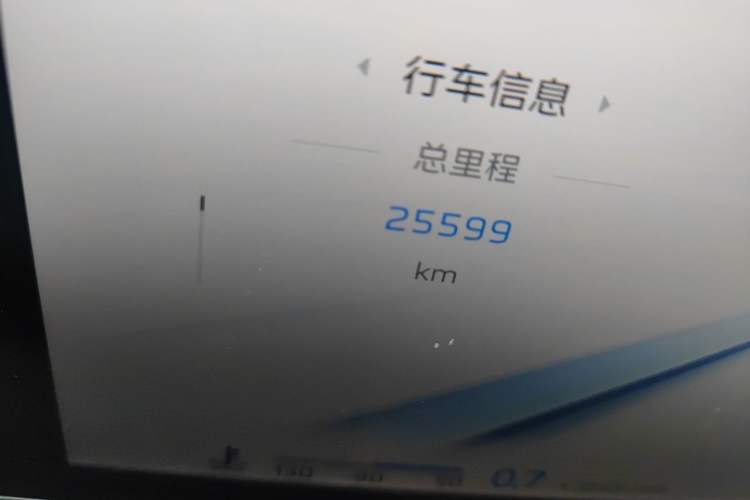 Used Hongqi H9 2024 2.0T Qixiang Luxury Business Edition Odometer Close Up