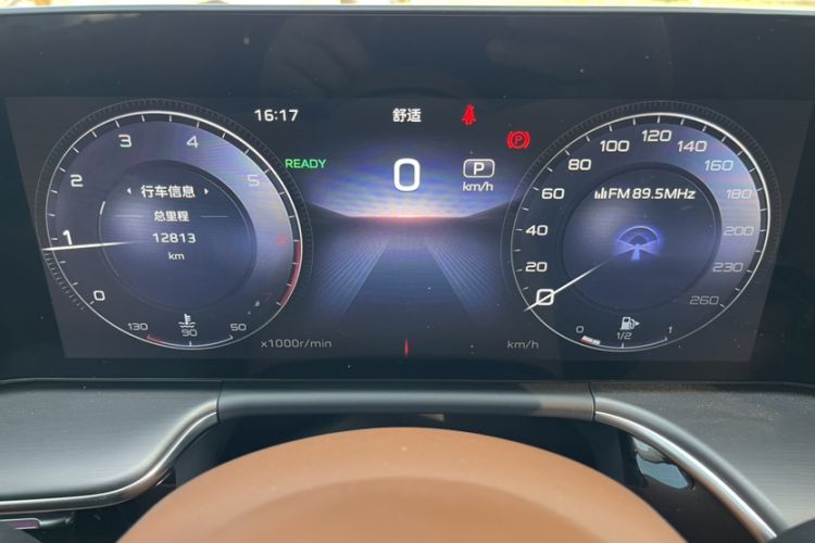 Used Hongqi H9 2024 2.0T Qichang Private Enjoyment Luxury Edition Odometer Close Up