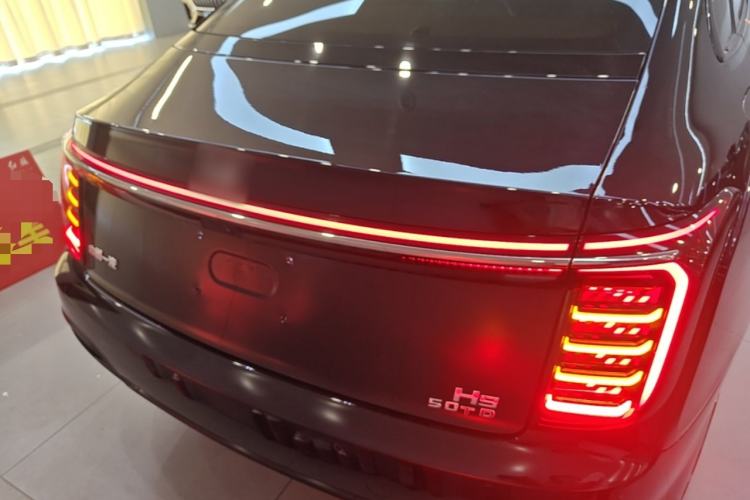 Used Hongqi H9 2024 2.0T Qixiang Private Style Edition Rear