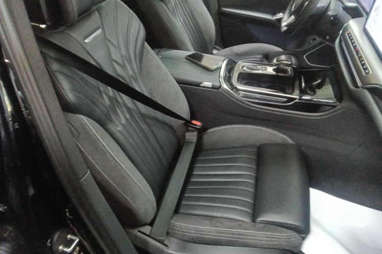 Used Hongqi H9 2024 2.0T Qichang Private Enjoyment Luxury Edition Right Front Seat
