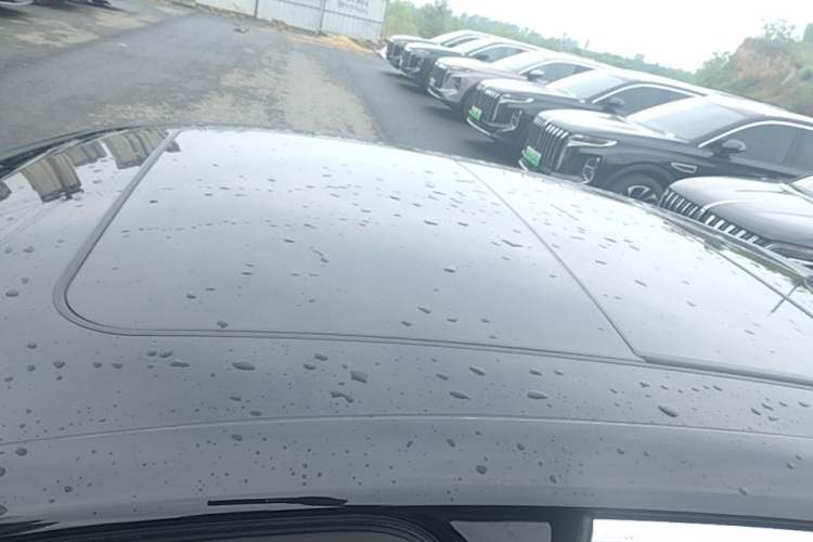 Used Hongqi H9 2024 2.0T Qixiang Luxury Business Edition Roof