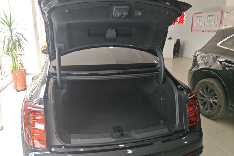 Used Hongqi H9 2024 2.0T Qichang Private Enjoyment Luxury Edition Trunk
