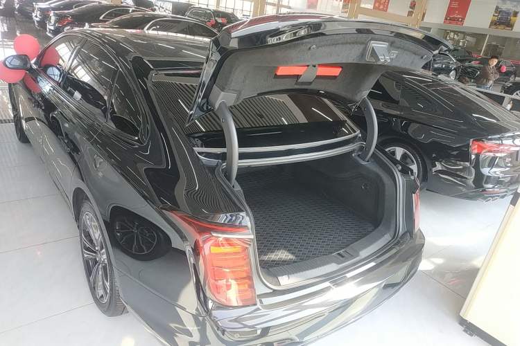 Used Hongqi H9 2024 2.0T Qixiang Private Style Edition Trunk