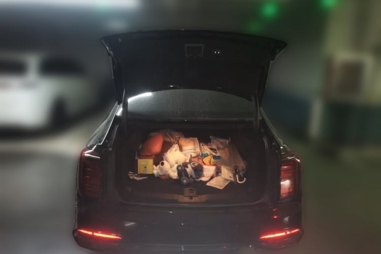 Used Hongqi H9 2024 2.0T Qixiang Private Style Edition Trunk