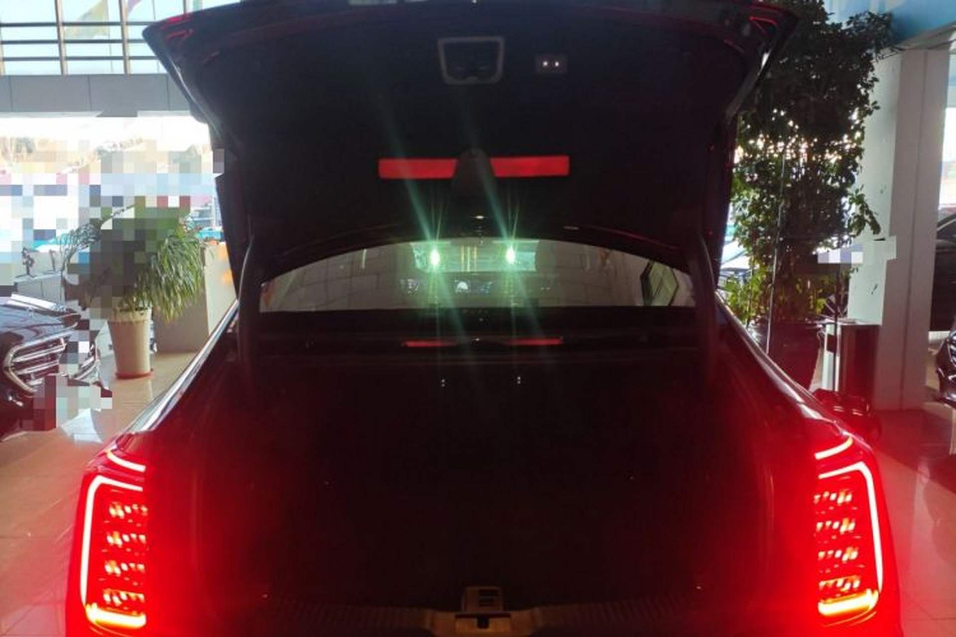 Used Hongqi H9 2024 2.0T Qichang Private Enjoyment Luxury Edition Trunk